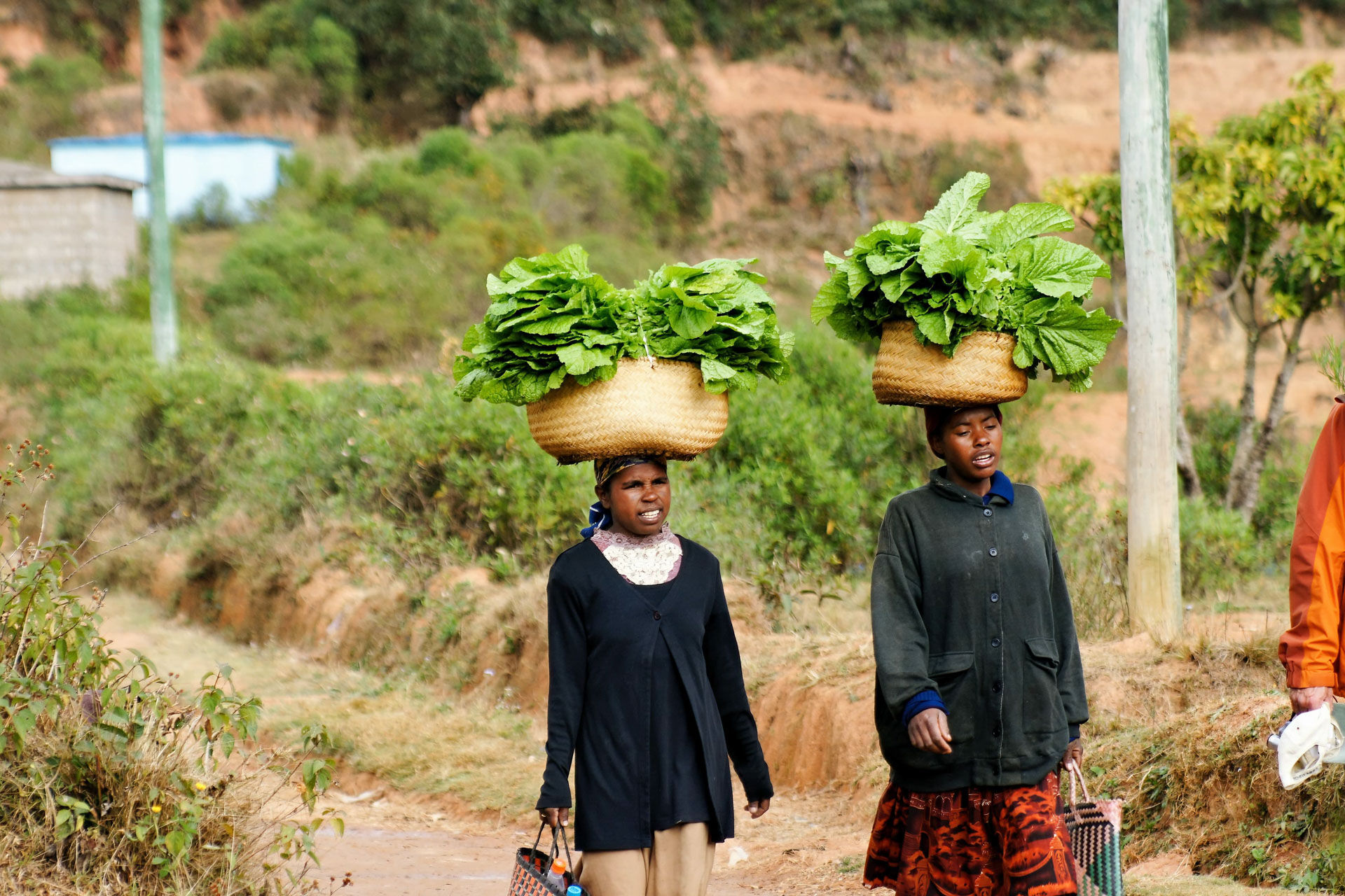 Ambositra liegt in 1280 m Höhe im zentralen Hochland von Madagaskar zwischen den Städten Antsirabe und Fianarantsoa. Der Name der Stadt bedeutet, der Ort wo es viele Omby’s (Rinder) gibt. Die Einwohner gehören überwiegend der Ethnie Betsileo. Sie sind vorwiegend Bauern und produzieren insbesondere Reis und Gemüse. Bekannt ist Ambositra auch für die Holzschnitzerei. Es sind meistens Menschen aus der Ethnie Zafimaniry, die diese Kunst ausüben. Seit 2003 zählt diese Handwerkstradition zum Weltkulturerbe der UNESCO.